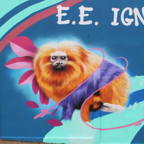 Escola Prof. ignacio Paes Lemes - Uberlandia (4)