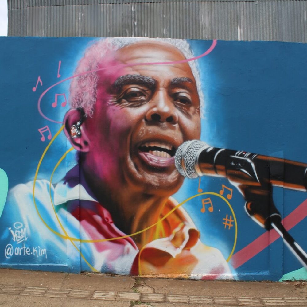 Escola Prof. ignacio Paes Lemes - Uberlandia (5)