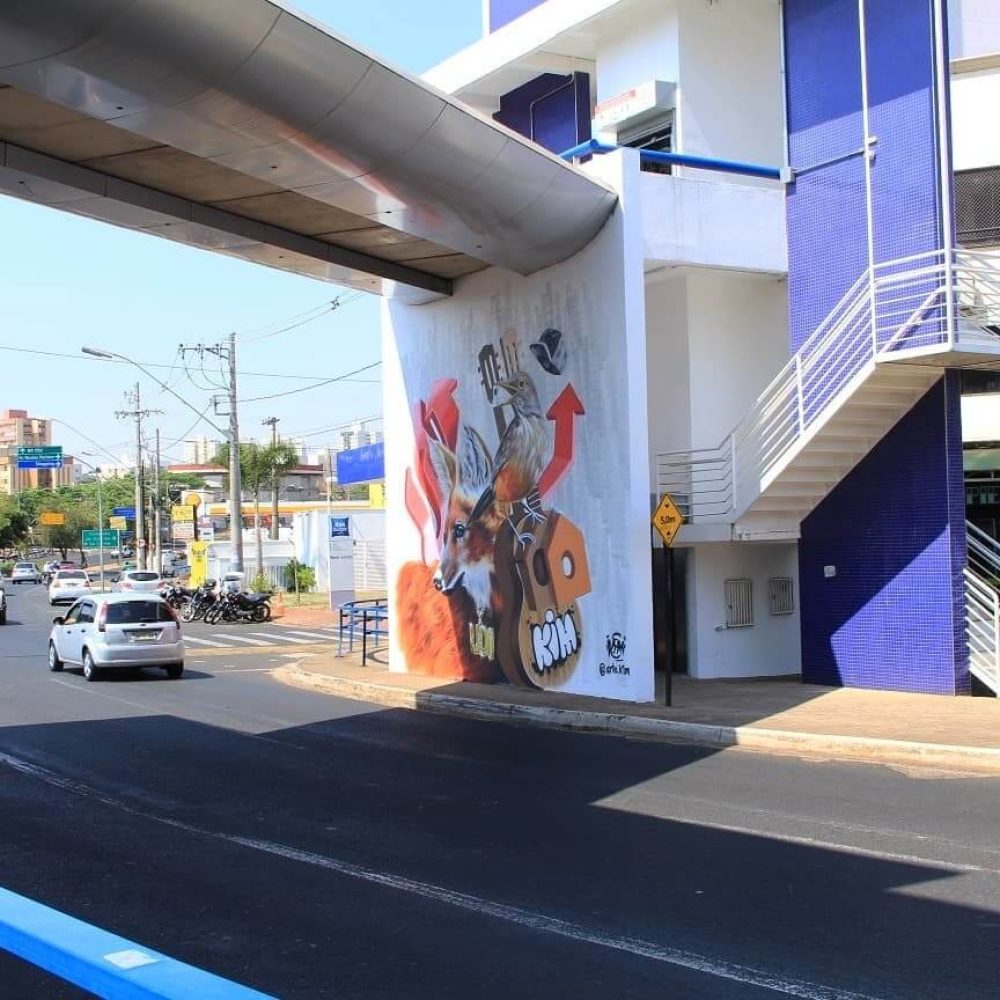 Graffiti Passarela Av Joao Naves - Uberlandia (2)