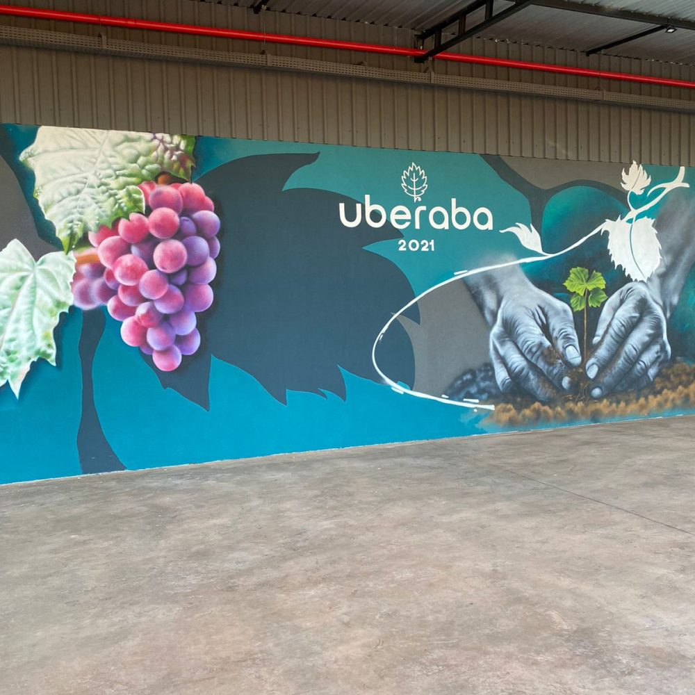 Kim Ferreira - Vinícola Arpuro (11)