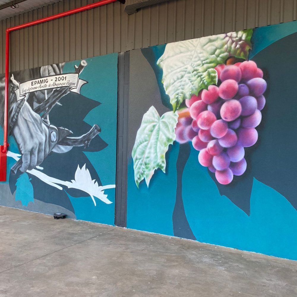 Kim Ferreira - Vinícola Arpuro (5)