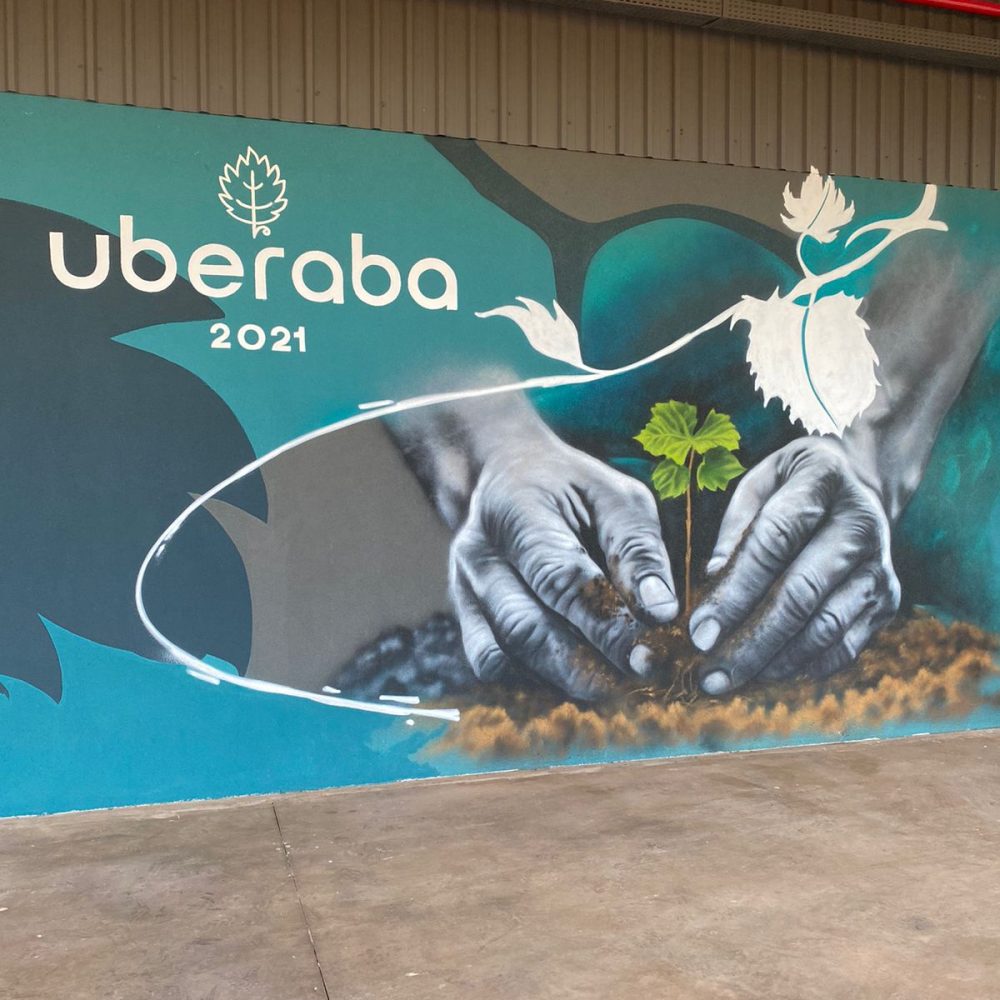 Kim Ferreira - Vinícola Arpuro (6)