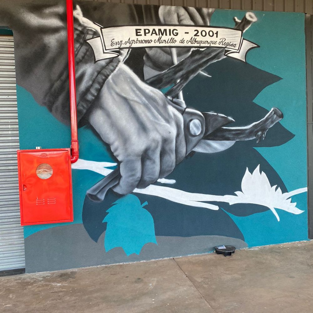 Kim Ferreira - Vinícola Arpuro (7)