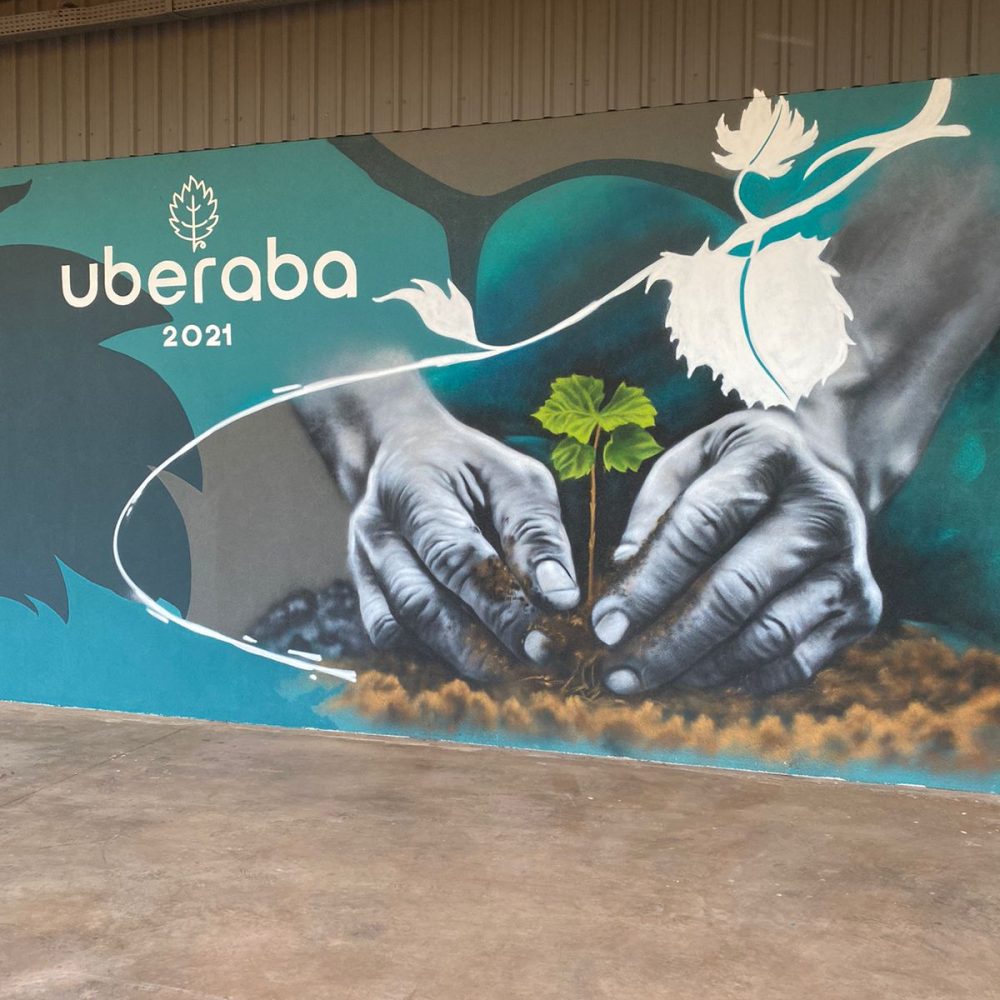 Kim Ferreira - Vinícola Arpuro (8)