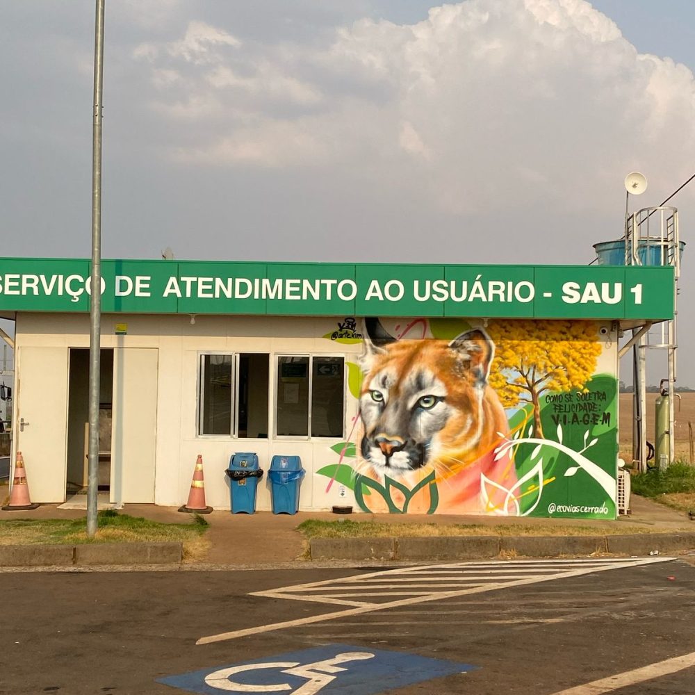 SAU 1 CERRADO 2