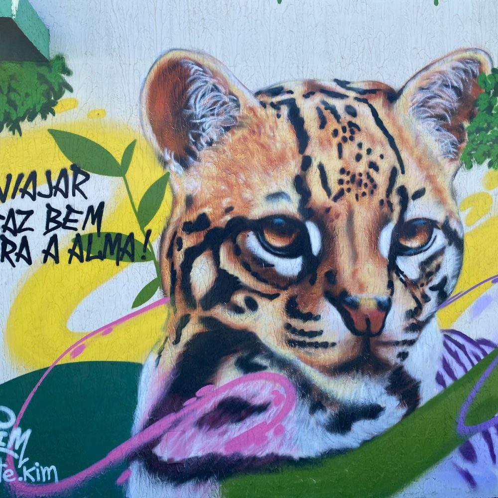 SAU 1 IPAMERI 2