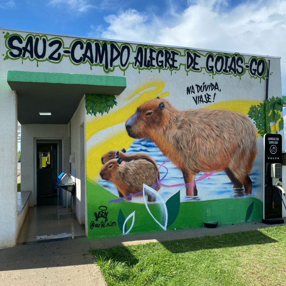 SAU 2 CAMPO ALEGRE DE GOIAS