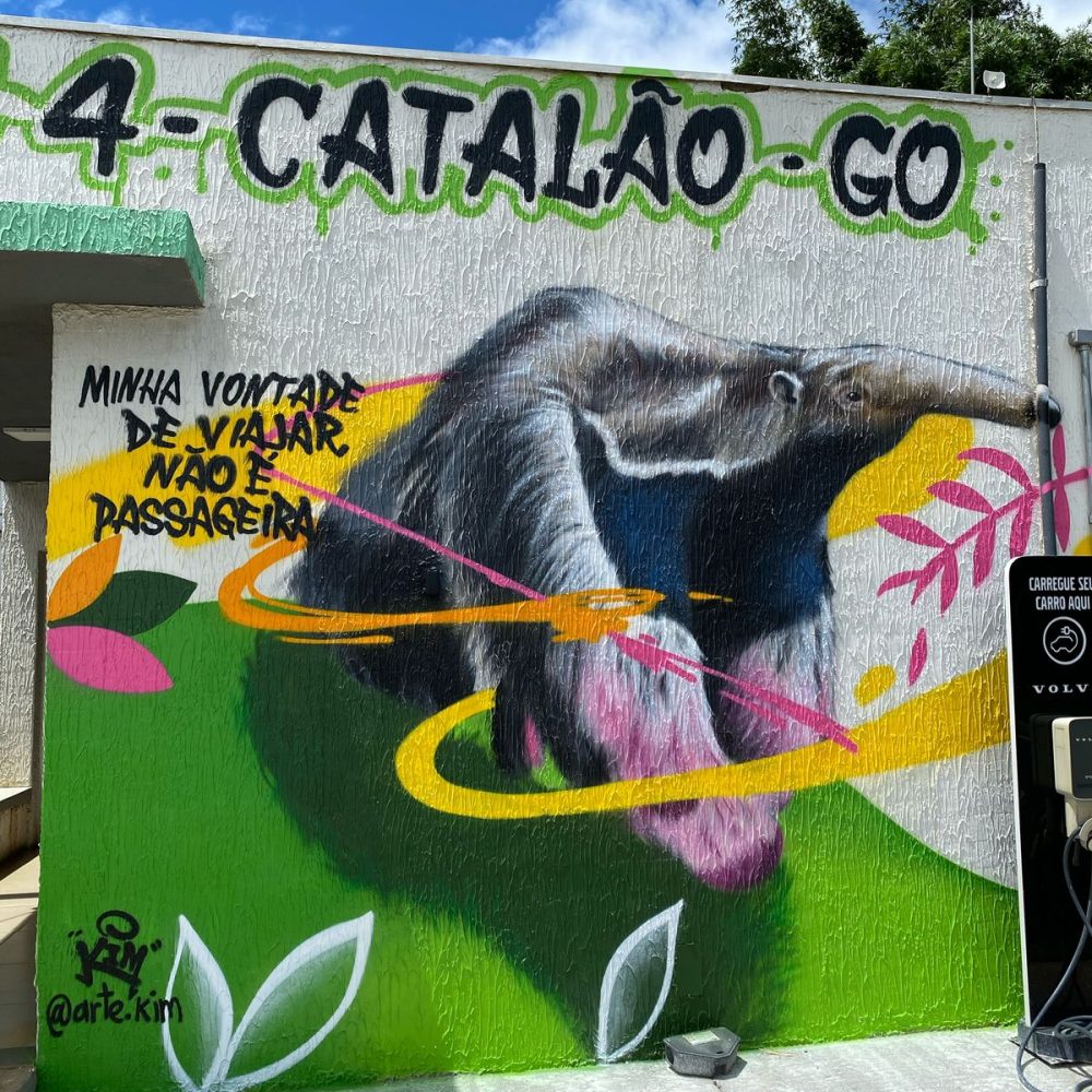 SAU 4 CATALAO2