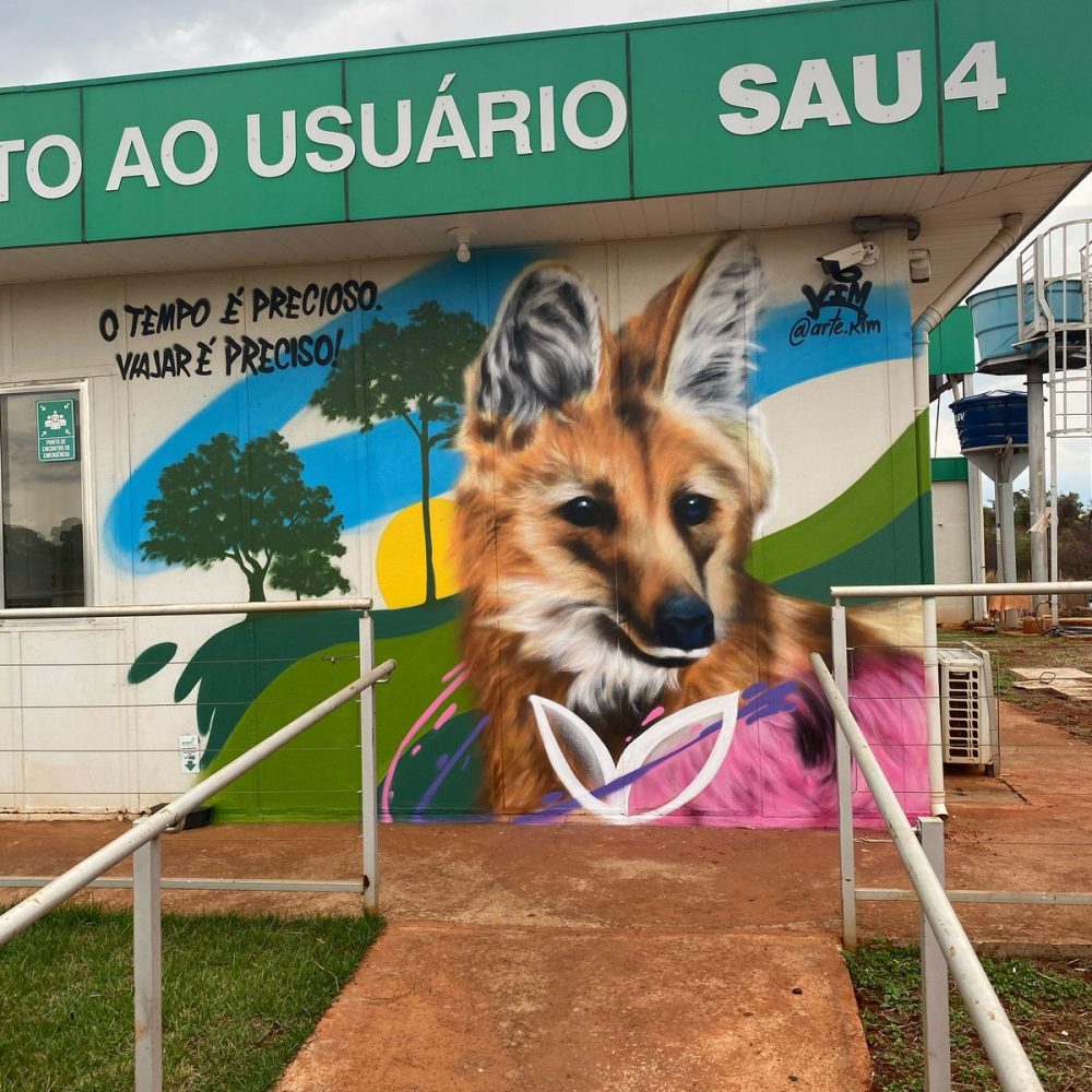 SAU 4 CERRADO