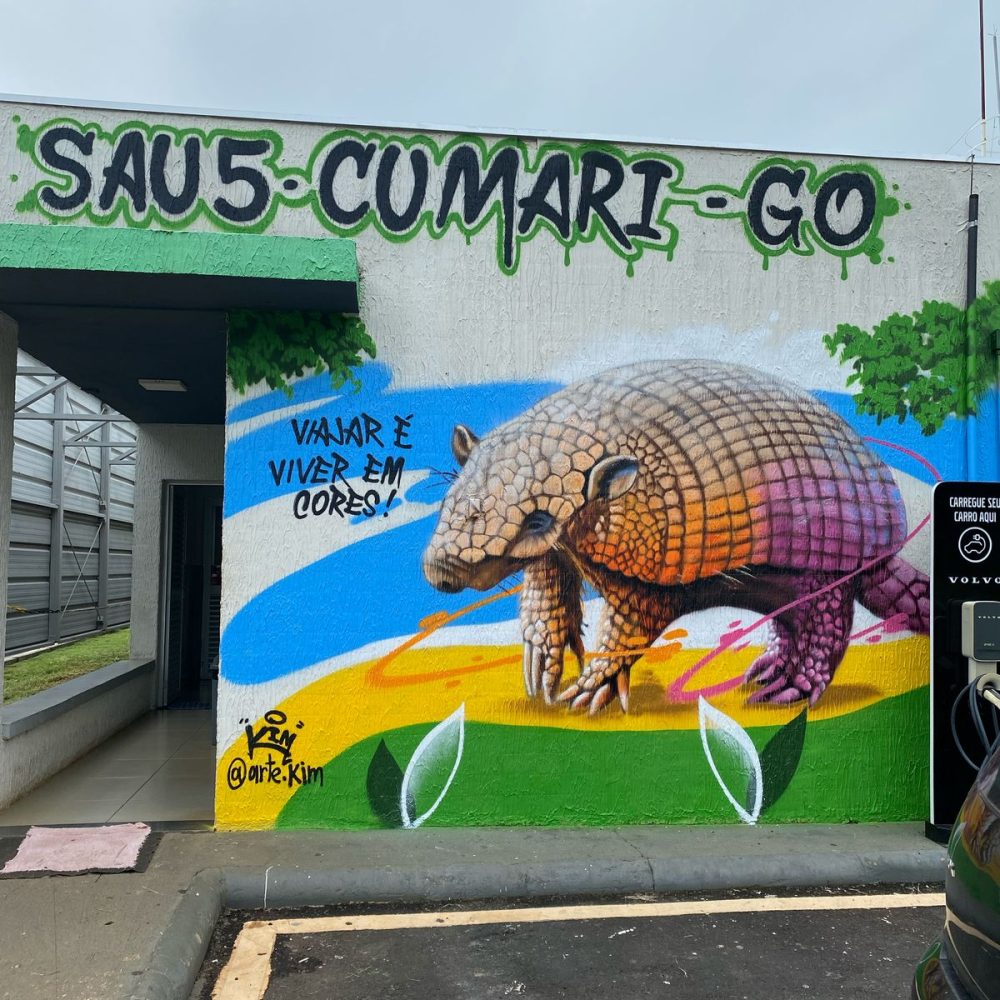 SAU 5 CUMARI