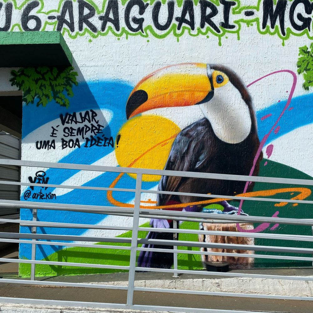 SAU 6 ARAGUARI 2