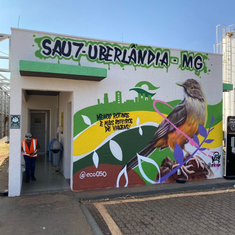 SAU 7 UBERLANDIA2