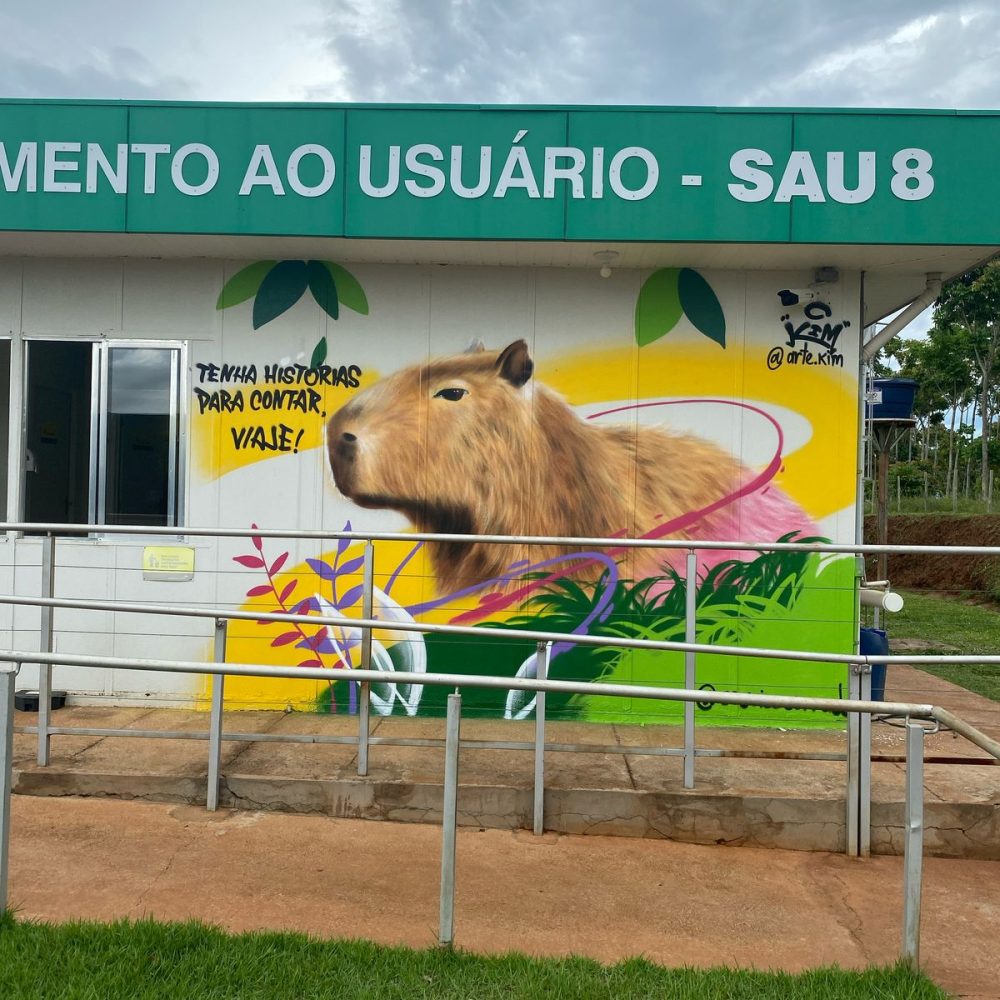 SAU 8 CERRADO 2