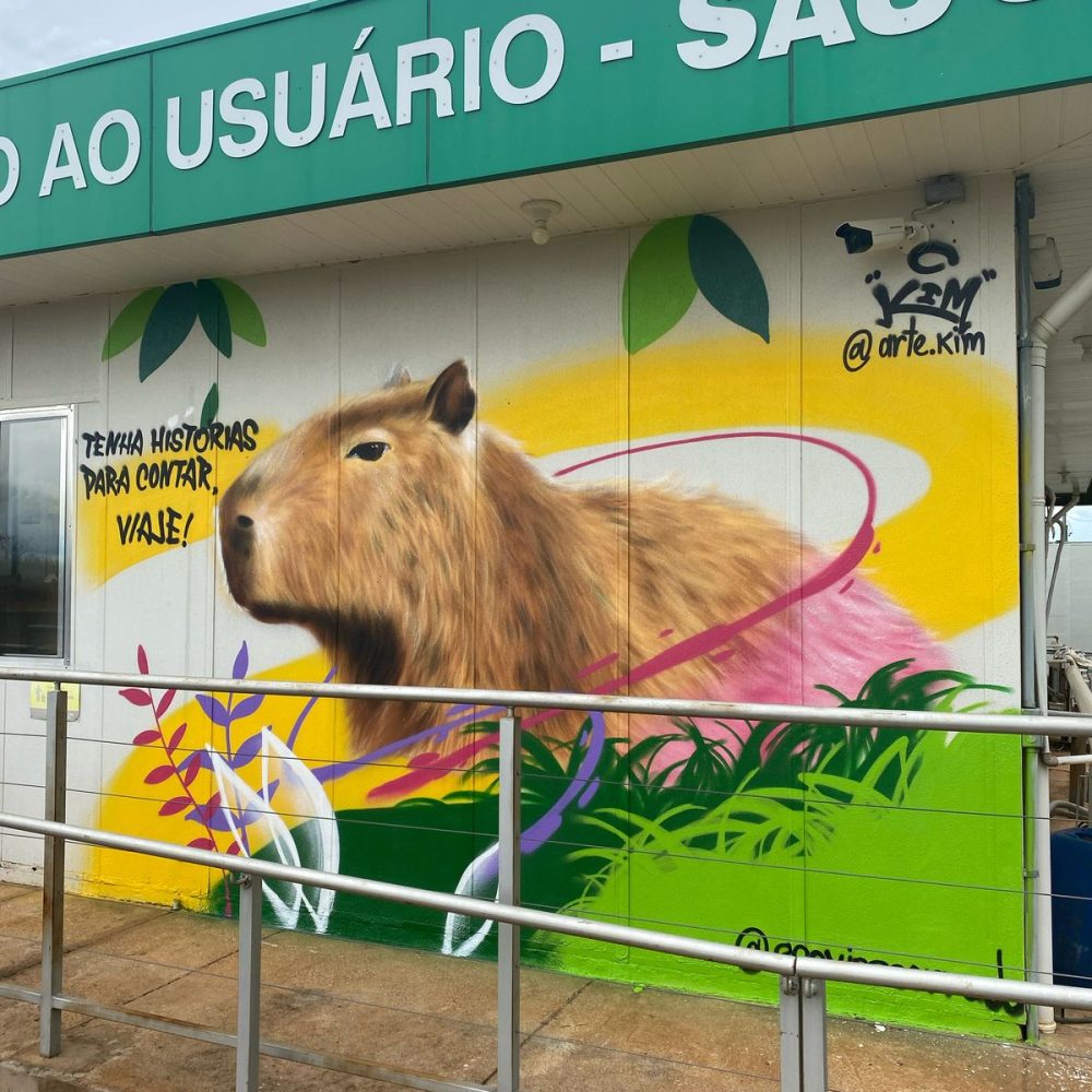SAU 8 CERRADO