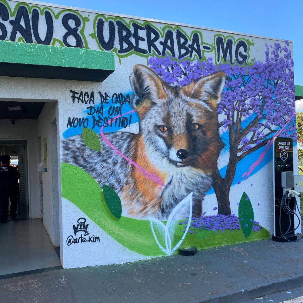 SAU 8 UBERABA